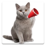 cat sounds android application logo